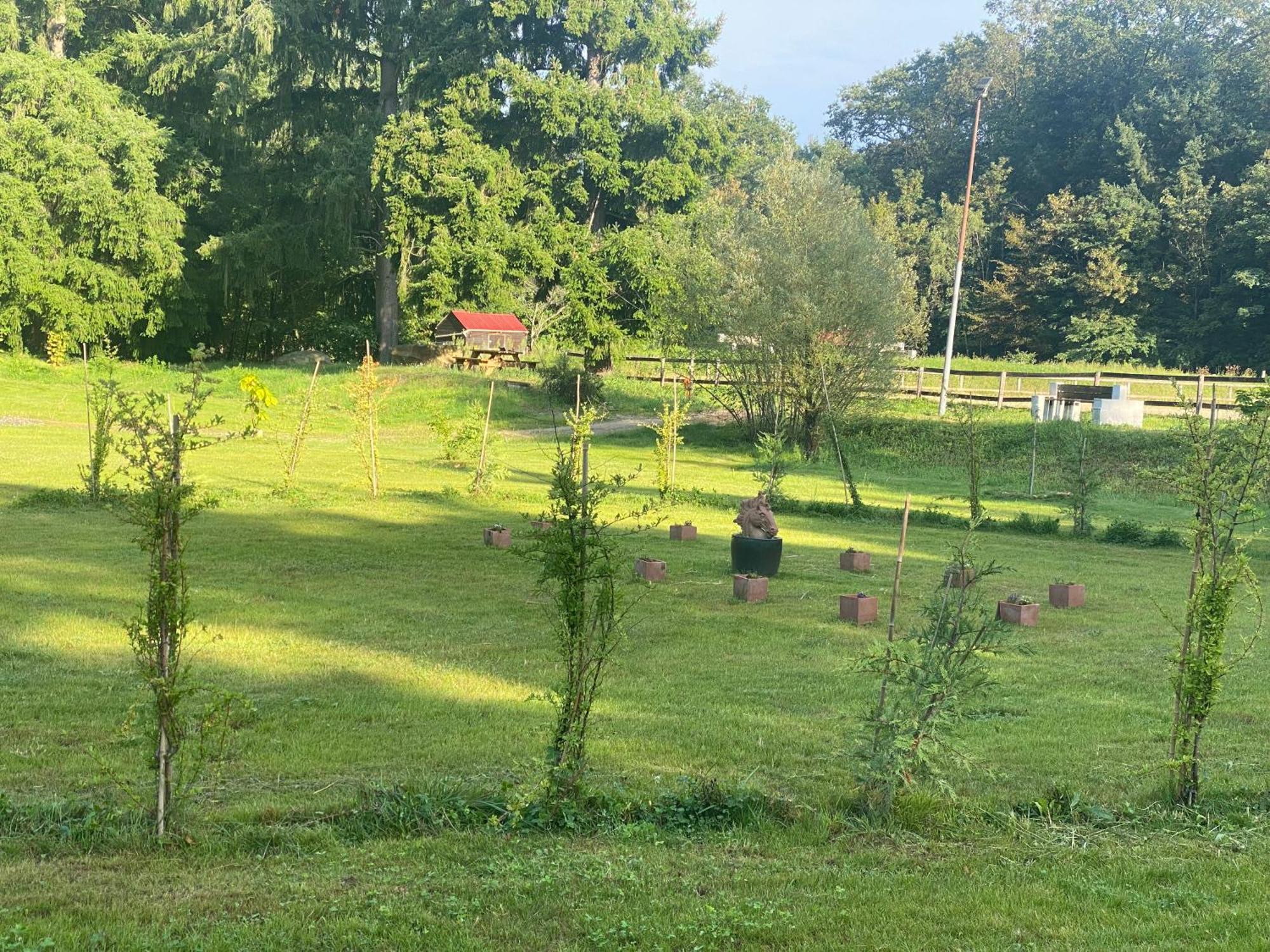 Maison Dans Parc Prive, Sports Et Loisirs Proche Golf Du Coudray Montceaux Le Coudray-Montceaux المظهر الخارجي الصورة