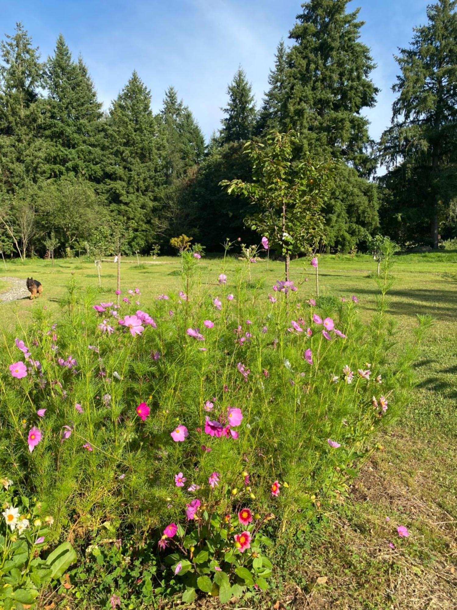 Maison Dans Parc Prive, Sports Et Loisirs Proche Golf Du Coudray Montceaux Le Coudray-Montceaux المظهر الخارجي الصورة