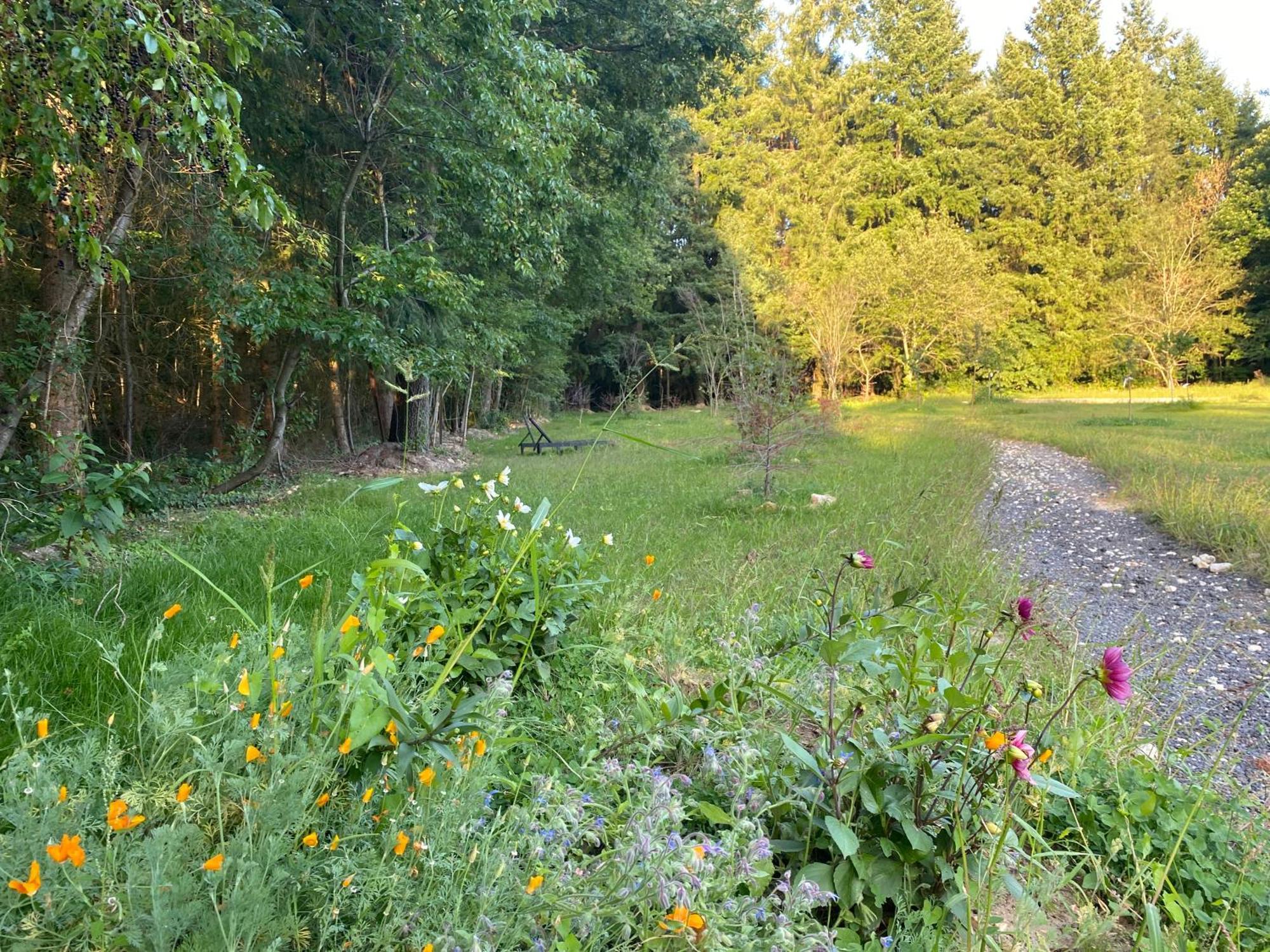Maison Dans Parc Prive, Sports Et Loisirs Proche Golf Du Coudray Montceaux Le Coudray-Montceaux المظهر الخارجي الصورة